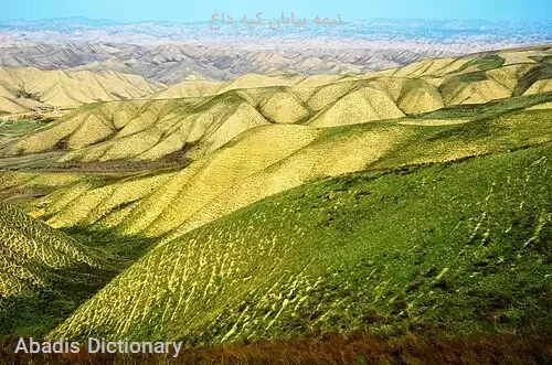 نیمه بیابان کپه داغ